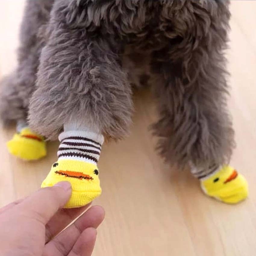 Medias-para-perros-y-gatos-000