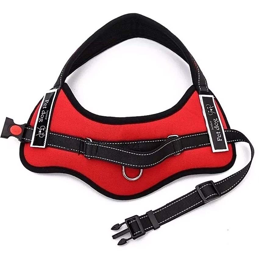 Pecheras-talles-grandes-para-perros-000