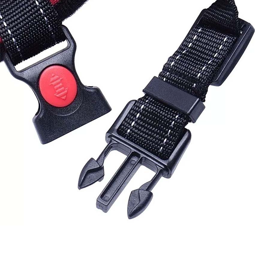 echeras-talles-grandes-para-perros-001