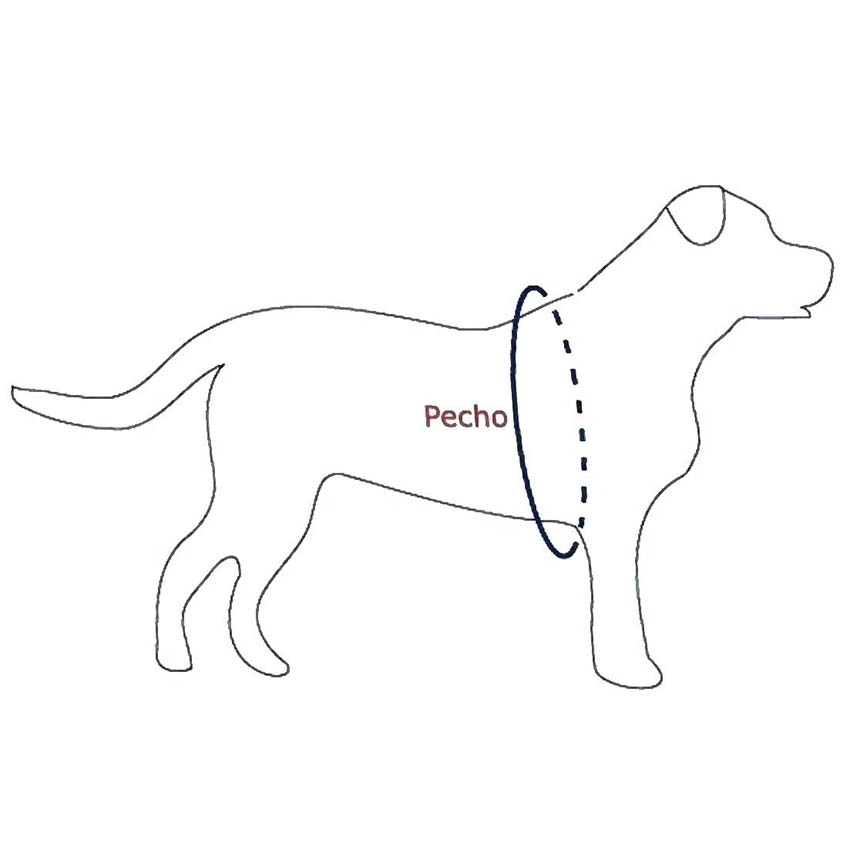 Pecheras-talles-grandes-para-perros-002