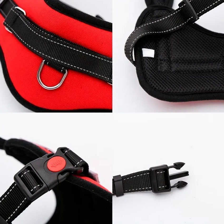 Pecheras-talles-grandes-para-perros-005