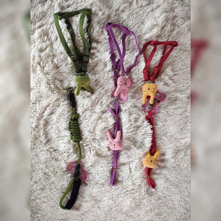 Pretales-para-perros-000