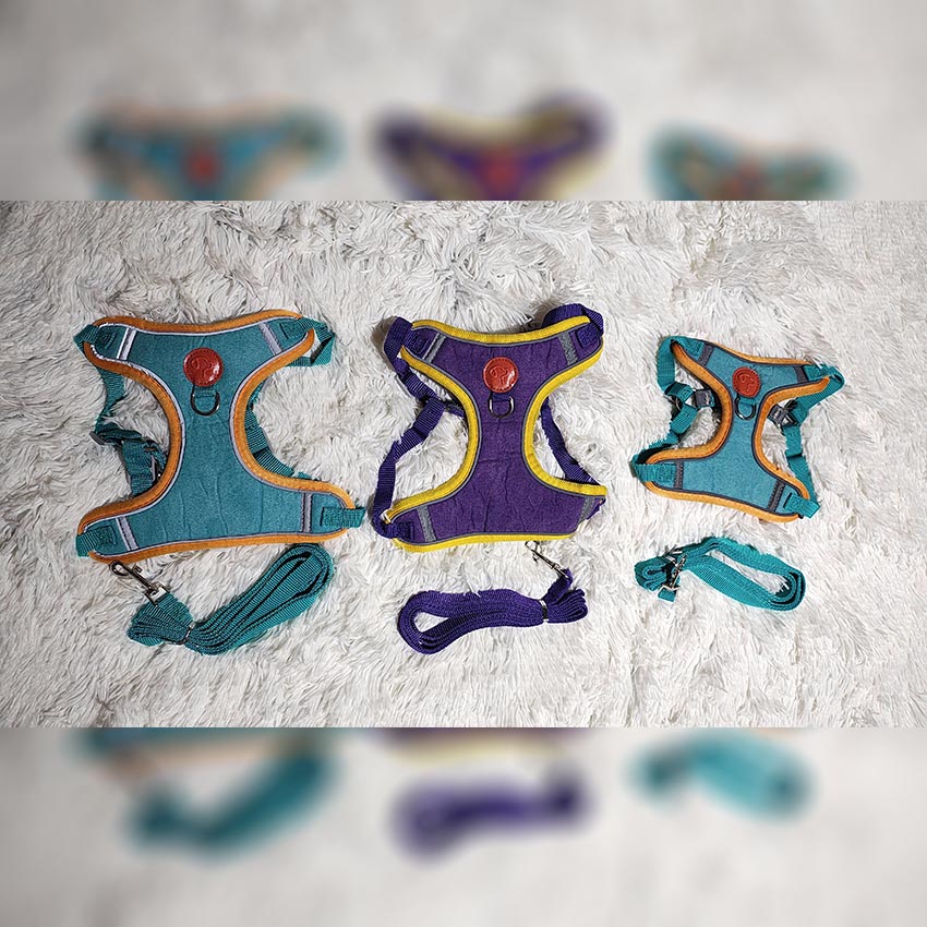 arnes-reflex-para-perros-000