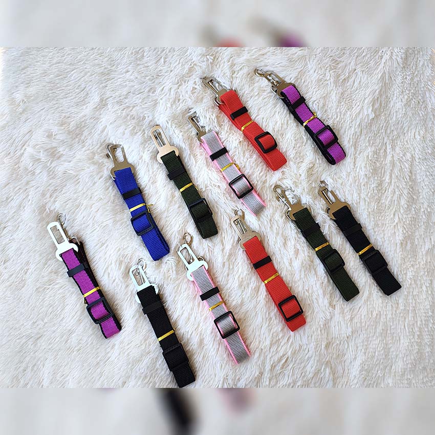 cinturon-seguridad-para-perros-001